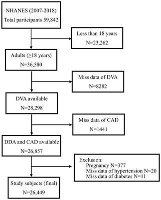 Exploring the association between dietary vitamin A and coronary artery disease risk in men and women: findings from a US population study